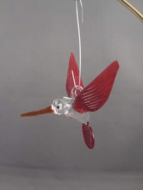 Hanging Hummingbird 